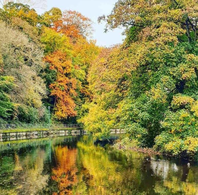 The Nook, Morpeth Townヴィラ エクステリア 写真